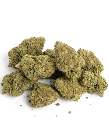 THCX Fleur Girl Scout Cookie | Puissance premium