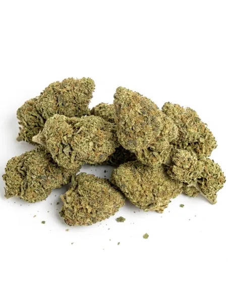 THCX Flower Girl Scout Cookie top