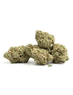 THCX Fleur Lemonade | Intensité premium