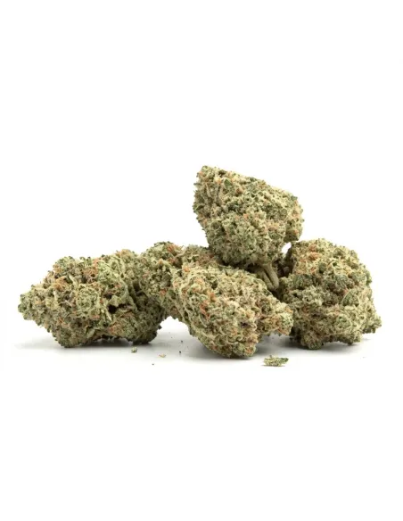 THCX Fleur Lemonade | Intensité premium