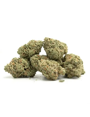 THCX Fleur Lemonade | Intensité premium