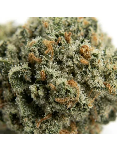 THCX Flower Lemonade closeup