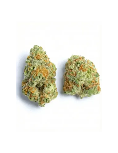 THCX Fleur Sugar Candy | Douceur intense premium