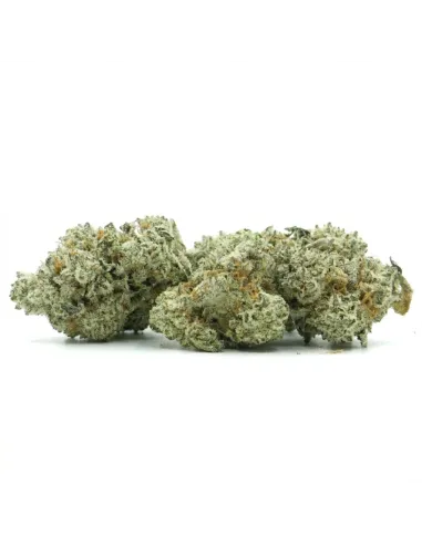 THCX Flower Sugar Cream main