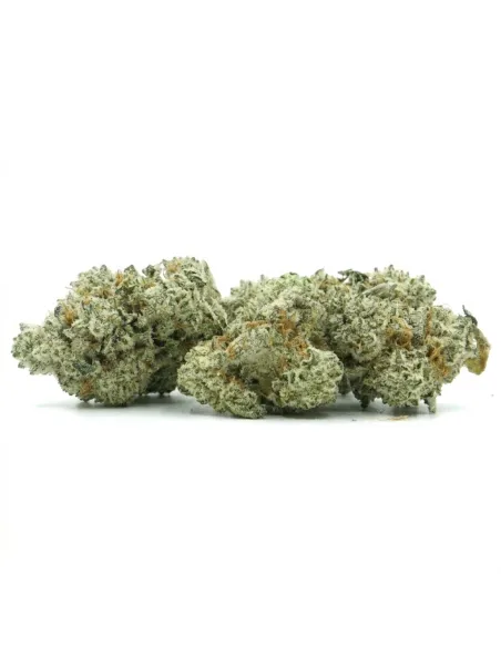 THCX Flower Sugar Cream main