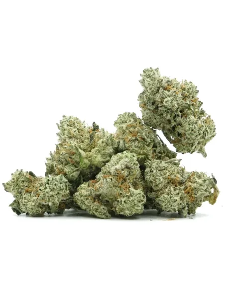 THCX Fleur Sugar Cream | Intensité gourmande