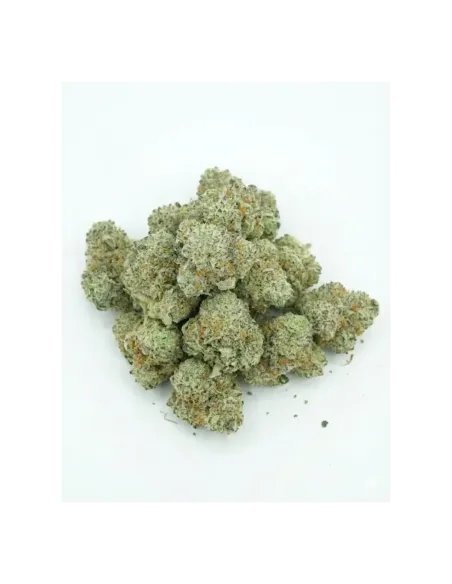 THCX Blüte Sugar Cream | Cremige Premiumstärke