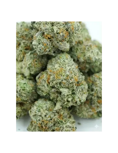 THCX Flower Sugar Cream closeup