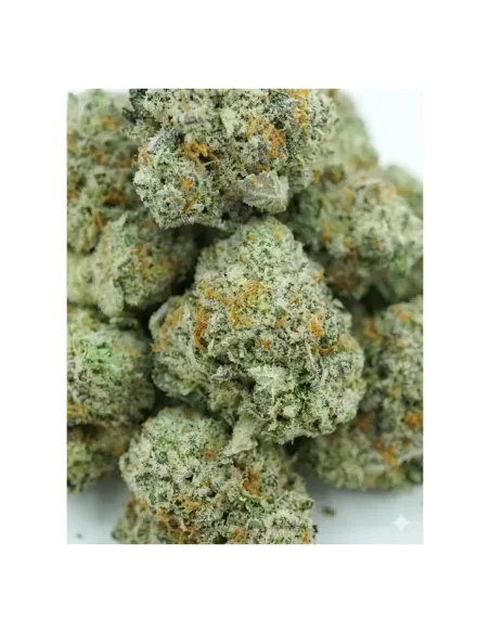 THCX Blüte Sugar Cream | Cremige Premiumstärke