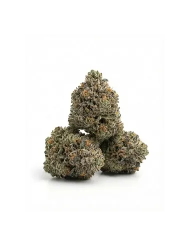 THCX Flower Bullet Kush 3