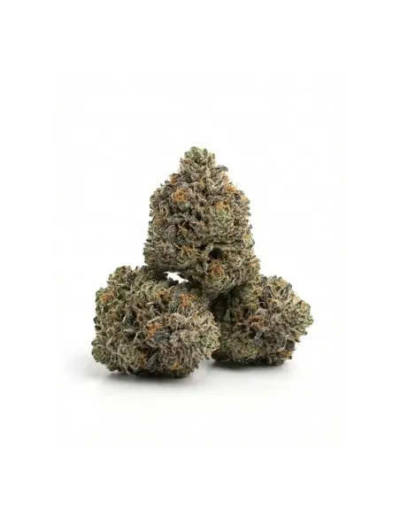 THCX Flower Bullet Kush | Premium Power