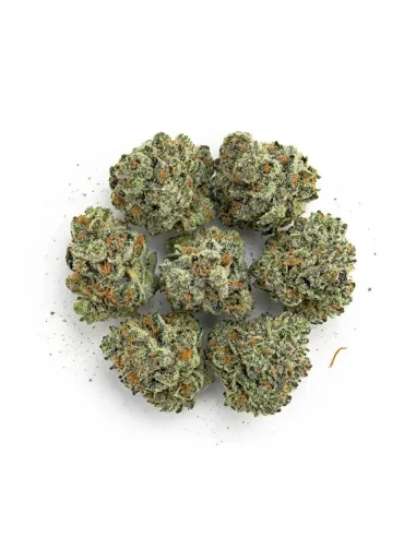 THCX Blüte Silver Haze Small Buds | Premium