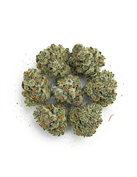 THCX Flower Silver Haze Small Buds top