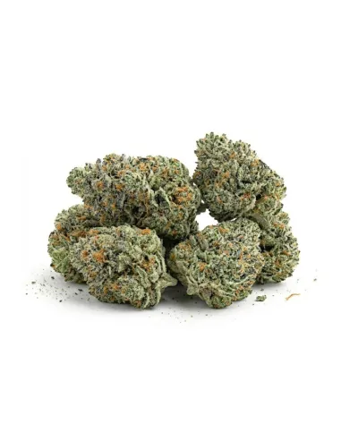 THCX Flower Silver Haze Small Buds side
