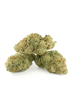 THCX Fleur Tropicana