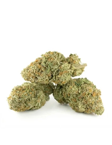 THCX Fleur Tropicana