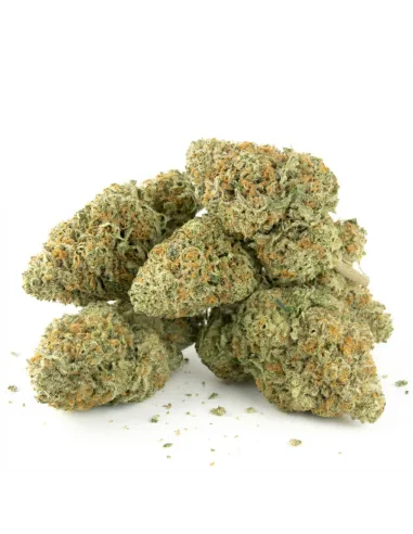 THCX Blüten Tropicana