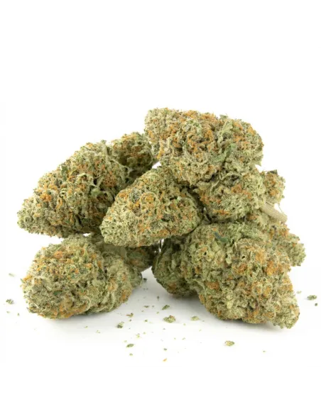 THCX Flower Tropicana