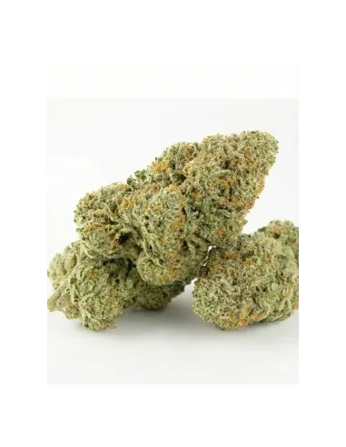 THCX Fleur Tropicana