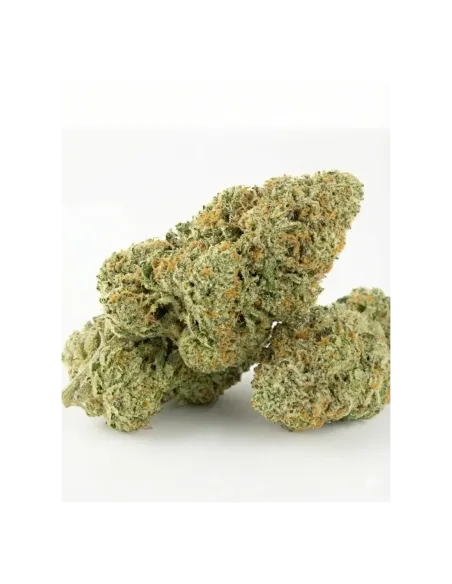 THCX Blüten Tropicana