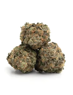 %product-name% Hauptansicht