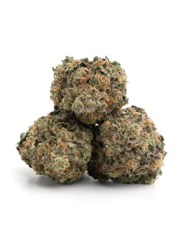 %product-name% principal