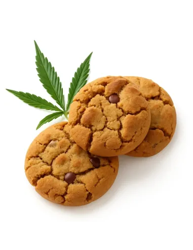 %product-name% principal