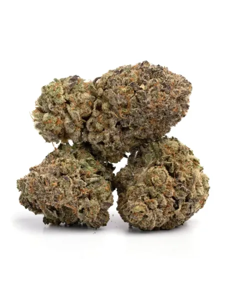 10-OH-HHC Blüten Skywalker OG – Premium‑Blüten & Wirkung | GBZ420