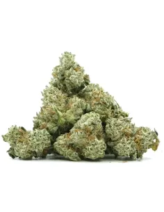 %product-name% principal